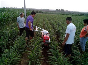 大姜開(kāi)溝培土機(jī)