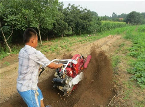 開(kāi)溝埋藤機(jī)