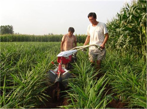 大姜培土機(jī)